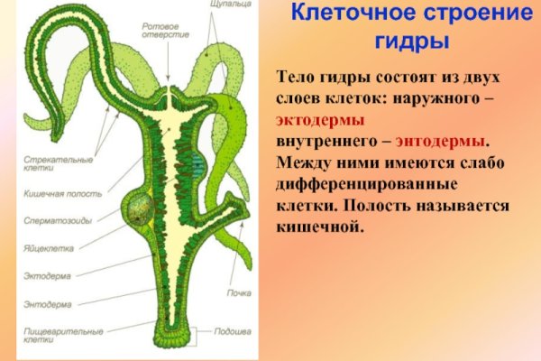 Кракен современный даркнет